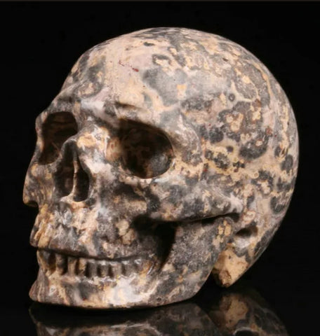 Crystal Skull, Leopard Skin Jasper 2"