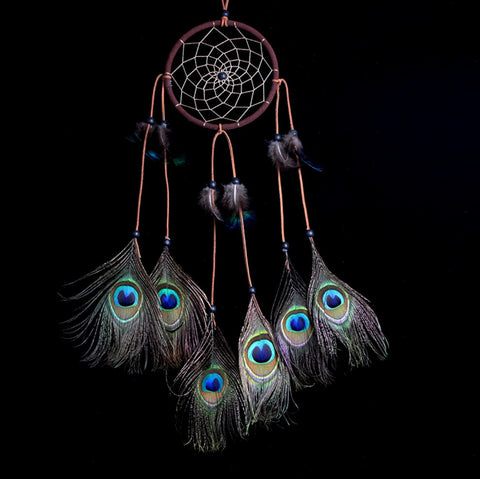 Dream Catcher, Peacock Feathers
